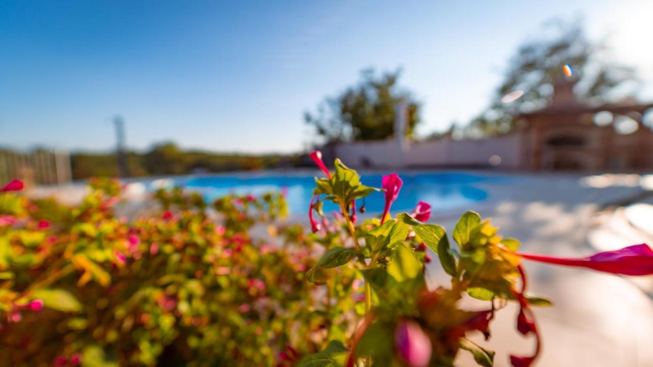 Villa Arton Heated Swimming-Pool Žminj Екстериор снимка