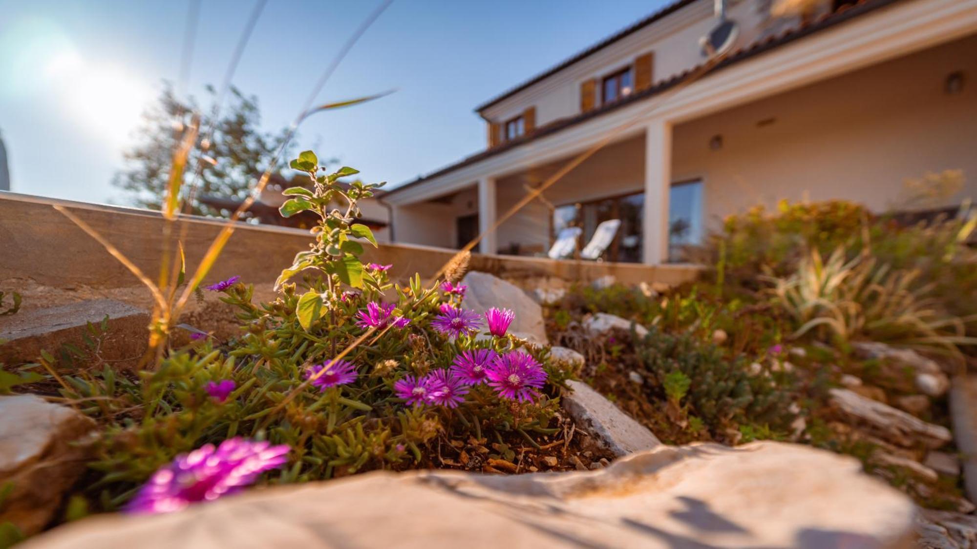 Villa Arton Heated Swimming-Pool Žminj Екстериор снимка